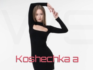 Koshechka_a