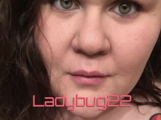 Ladybug22