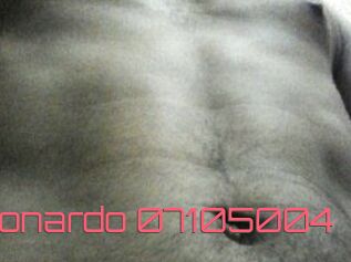 Leonardo-07105004