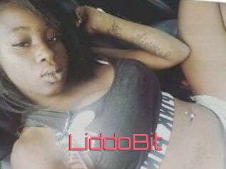LiddoBit
