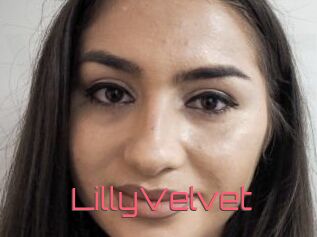 LillyVelvet