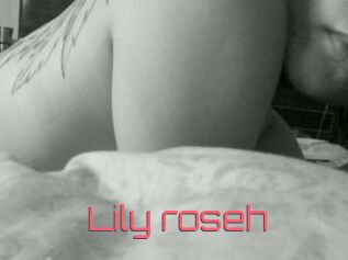 Lily_roseh