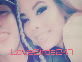 LoveBirds247