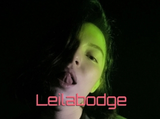 Leilabodge