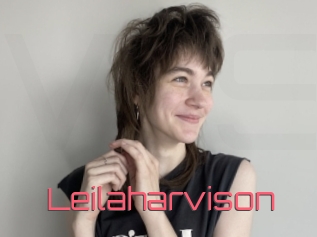 Leilaharvison