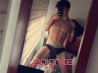 Leoignite