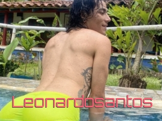 Leonardosantos