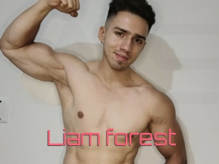 Liam_forest