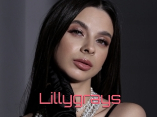 Lillygrays