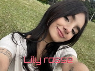 Lily_rosse