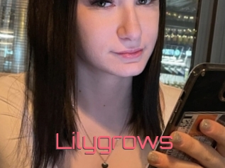 Lilygrows