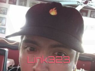 Link323