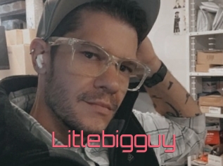 Litlebigguy