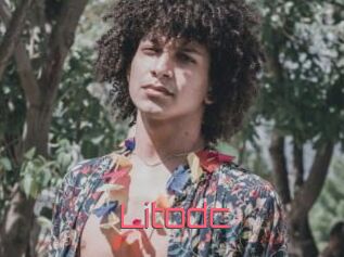 Litodc