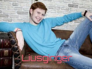 Liusginger