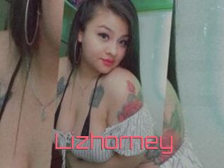 Lizhorney
