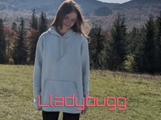 Lladybugg