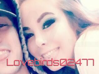 Lovebirds02477