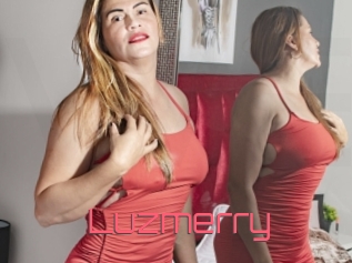 Luzmerry
