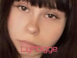 Lynbigge