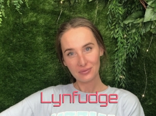 Lynfudge