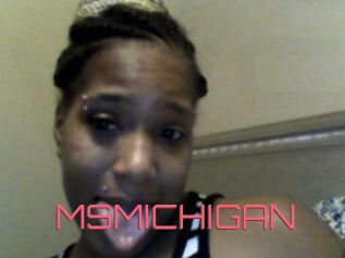 MSMICHIGAN
