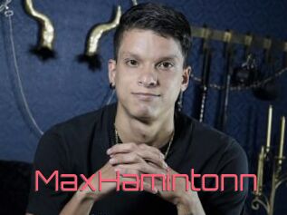 MaxHamintonn