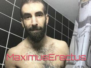 MaximusErectus