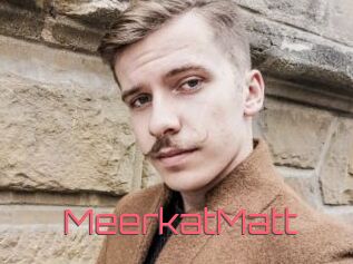 MeerkatMatt