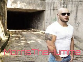 MorrisTheHumme