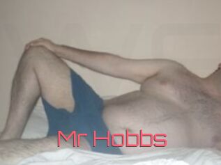Mr_Hobbs