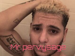 Mr_pervysage