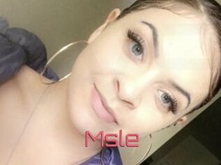 Msle