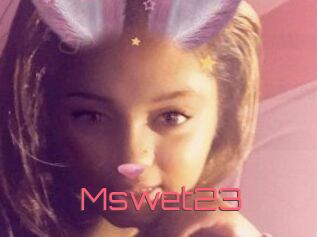 Mswet23