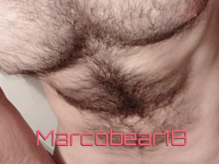 Marcobear18