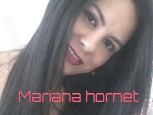Mariana_hornet