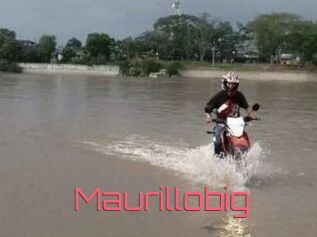 Maurillobig