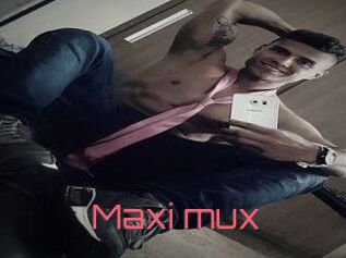 Maxi_mux