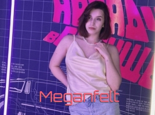 Meganfelt