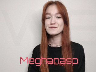 Meghanasp