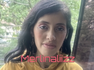 Merlinaliizz