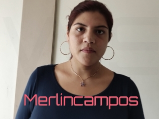 Merlincampos