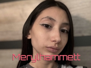 Merylhammett