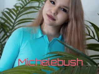 Michelebush