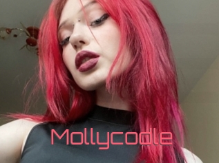 Mollycodle