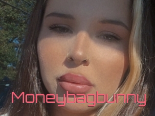 Moneybagbunny