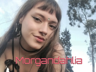 Morgandahlia