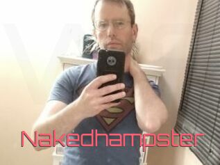 Nakedhampster