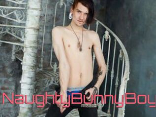 NaughtyBunnyBoy