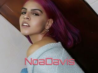 NoaDavis